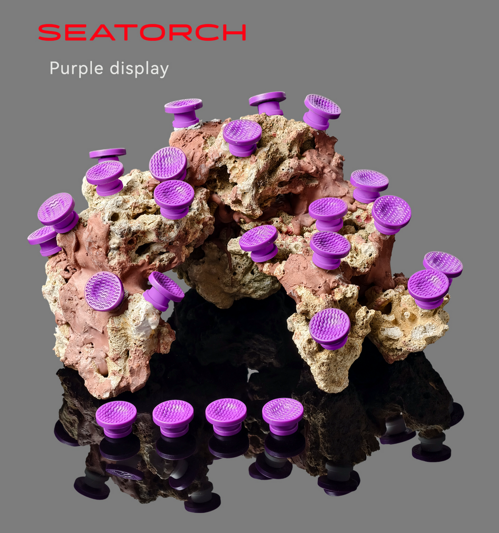 Plug Seatorch FP25 100 pièces Violet