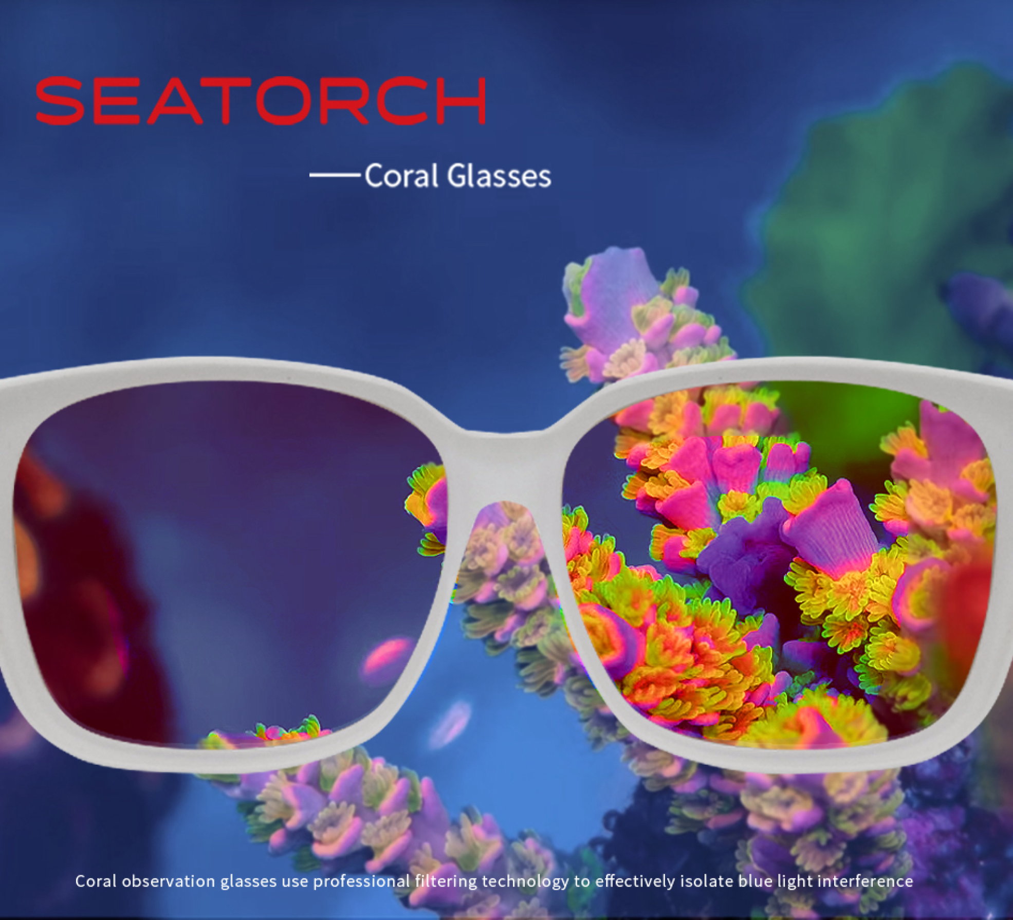 Lunette Seatorch
